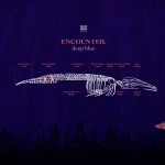 Encounter Deep Blue Whale Skeleton Fundraising